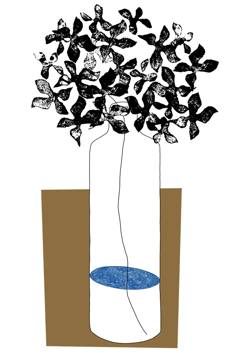 Illustration